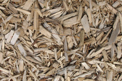biomass boilers Ruisaurie