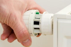 Ruisaurie central heating repair costs